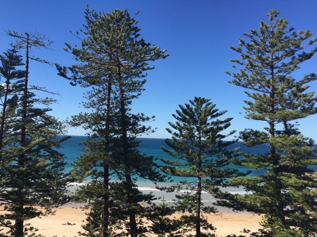 Room with a view - australia